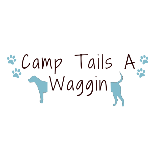Camp Tails A Waggin